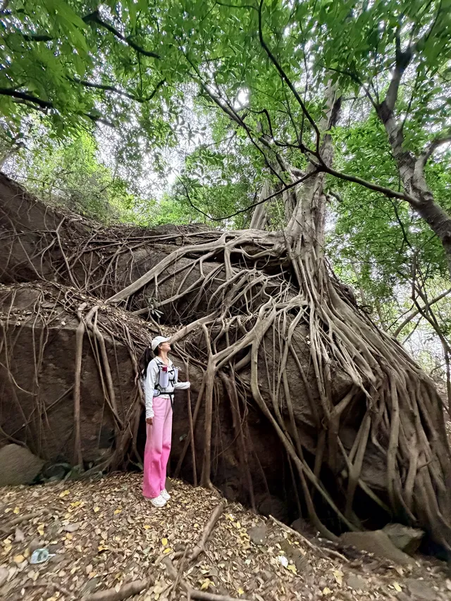 西樵山這個洞穴太好玩了吧!!(三刷) 西樵山這個洞穴太好玩了吧!!(三刷)