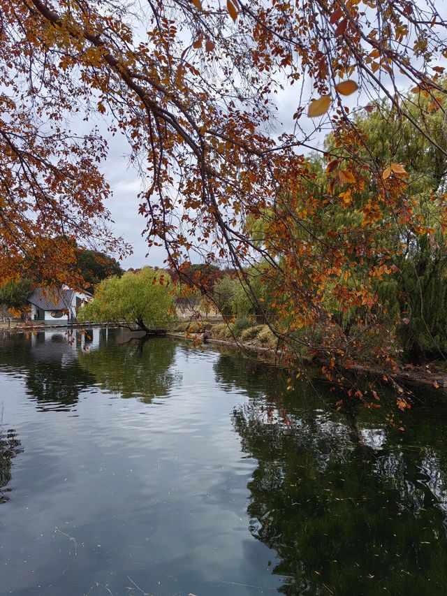 初冬暖陽下的多彩上海共青森林公園 初冬暖陽下的多彩上海共青森林公園