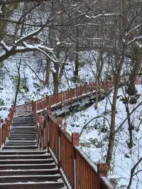 雪後秦嶺宛如仙境!南五臺山冬日徒步全攻略