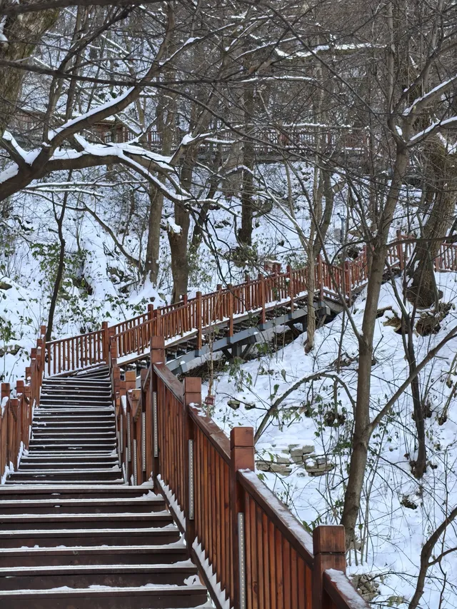 雪後秦嶺宛如仙境!南五臺山冬日徒步全攻略 雪後秦嶺宛如仙境!南五臺山冬日徒步全攻略