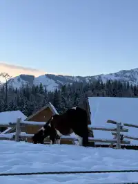 美的不真實地貌