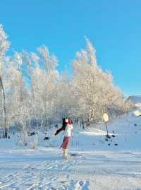 用18張Live打開呼倫貝爾的冬天!封神了!