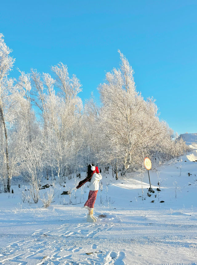 用18張Live打開呼倫貝爾的冬天!封神了! 用18張Live打開呼倫貝爾的冬天!封神了!