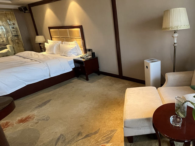 墜入蝴蝶夢境|沉浸式藝術展漫遊