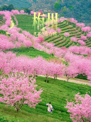 So beautiful! Not Dali, but Guangdong with a travel guide