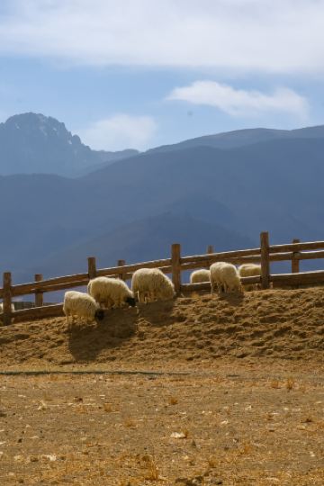 Hidden Napa Lake Sunset Paradise