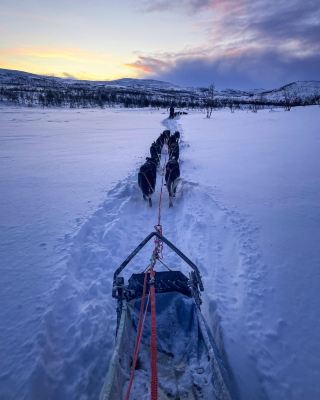 บอสลับในนอร์เวย์! อัลตา