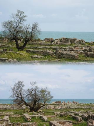 Kerkouane and Kelibia, Tunisia's Most Off-the-Beaten-Path Travel Destinations