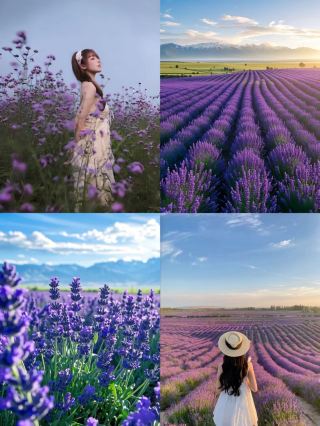 Ili Essence Scenic Pure Play 8-Day Loop Tour Guide