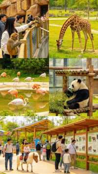 鄂州園博園玲瓏動物園五月遛娃攻略