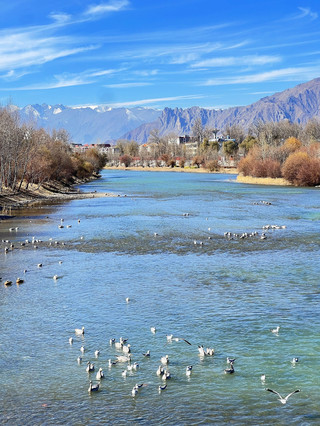 Summer vacation 2-day tour of Lhasa and Nyingchi - detailed nanny-level guide, save it now