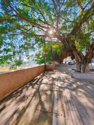 高州のスローライフ｜沿江路の夏の正しい楽しみ方を解き明かす