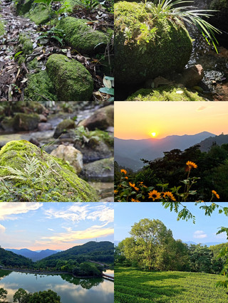 These 3 places in Yunfu are truly unknown to outsiders