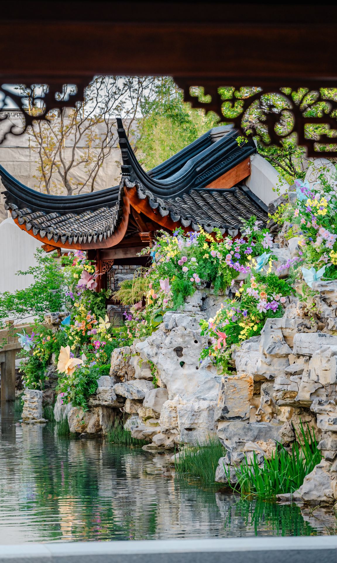 上海豫園附近的小眾傳統風格賞花拍照點