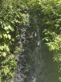 跟隨攜程解鎖九州秘境，阿蘇火山一日遊體驗分享