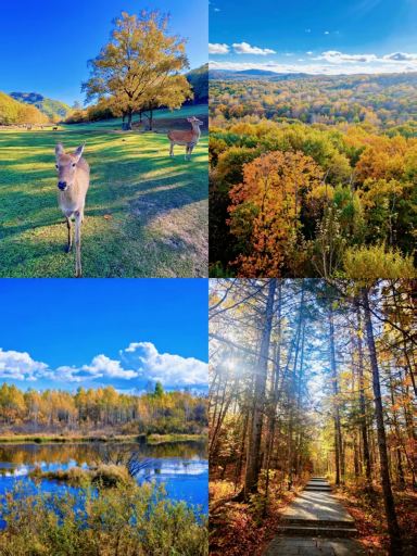 Yichun is so beautiful, but I wouldn't recommend going there in October or November because it's so uncomfortable.