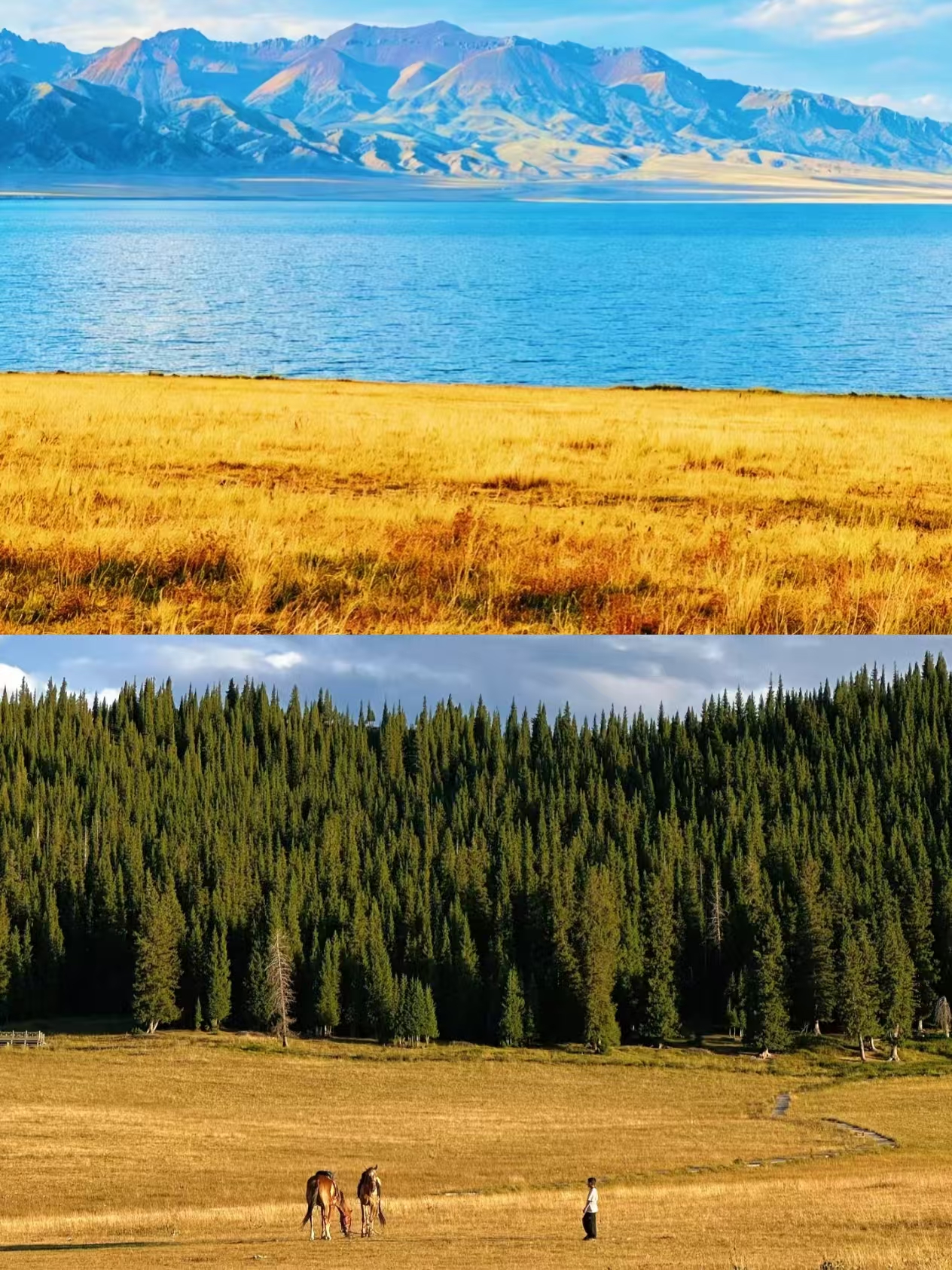 9-Day Northern Xinjiang Autumn Grand Loop Itinerary
