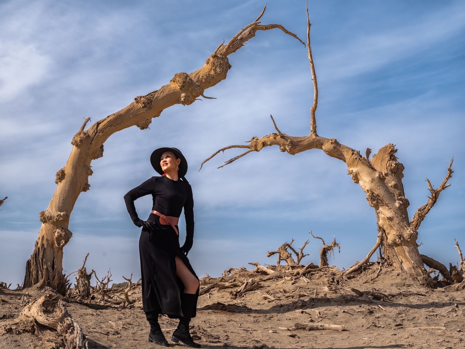 Xinjiang's hidden gem! Alar Sleeping Poplar Forest, a desolate masterpiece that rivals Ejina