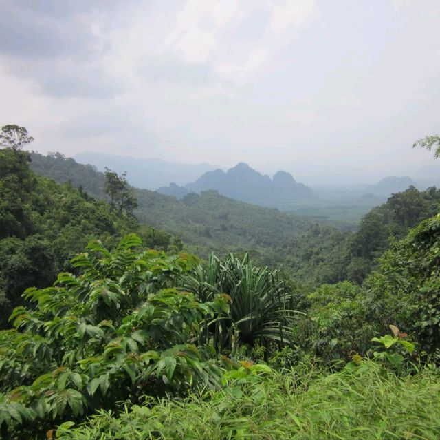 Phuket Ethical Elephant Sanctuary 