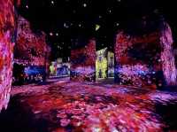 TeamLab SuperNature Digital Art @Macao