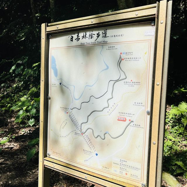 百吉林蔭隧道