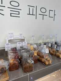 韓国/ソウル【鉢山】人気のパン屋さん🥐