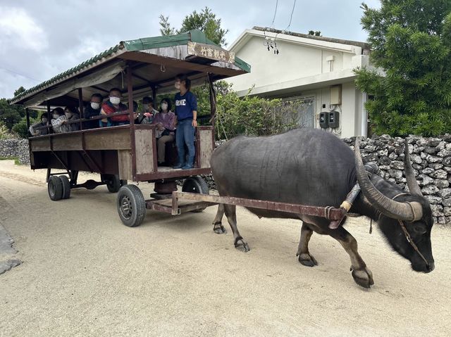 【竹富島】竹富島をサイクリング