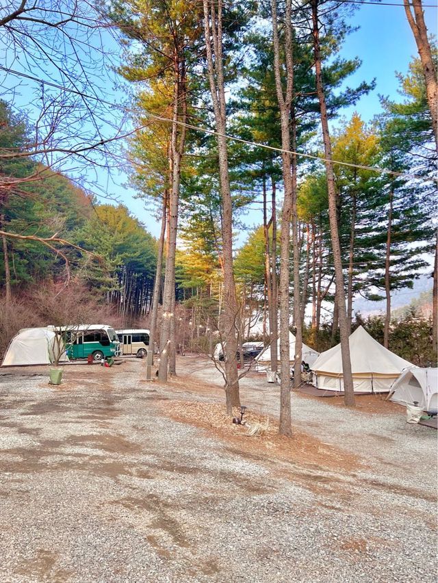 빈 손으로 가도 감성캠핑 즐길 수 있는 “리틀포레스트”