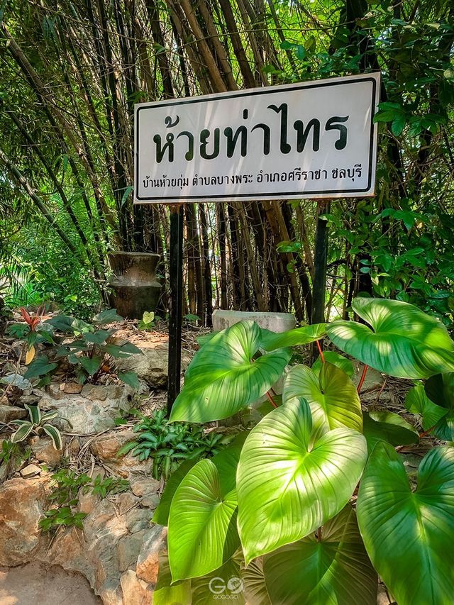 บางพระเรือ ณ ห้วยท่าไทร 🏔🌴🍀☘️