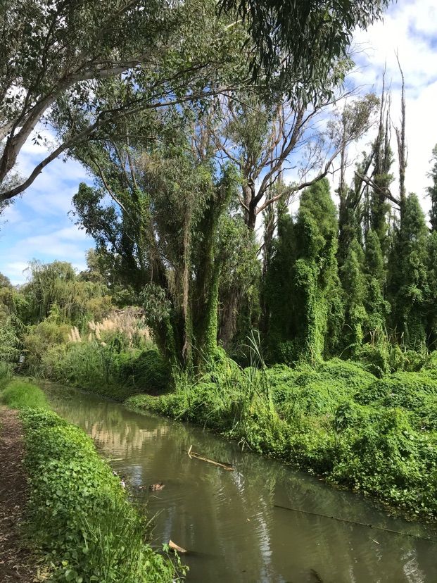 Perth 珀斯秘密花園(Secret Garden) | 世外桃源的景色