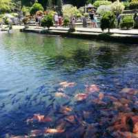 Tirta Gangga Water Palace
