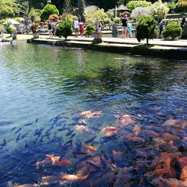 Tirta Gangga Water Palace