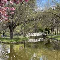 A walk in the beautiful park