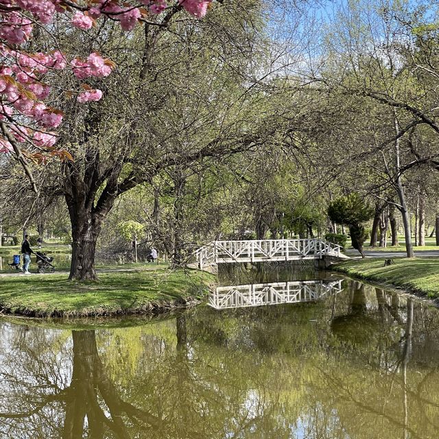 A walk in the beautiful park