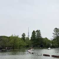 東京賞櫻熱點 - 上野公園