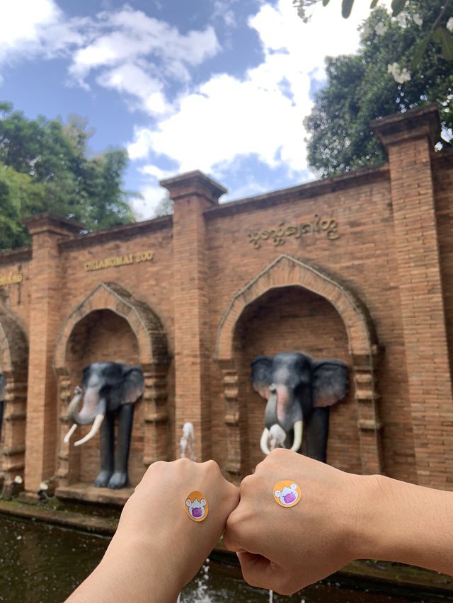 สวนสัตว์เชียงใหม่ 🐼
