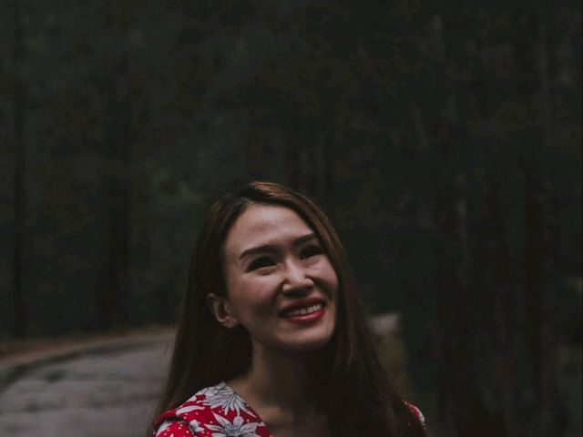 ป่าสน ทับสะแก จ.ประจวบคีรีขันธ์