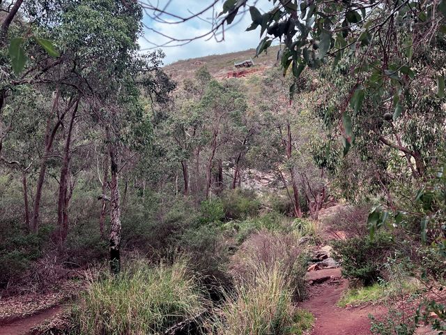 Skycrapers from afar!😎#minihikingLesmurdie🤓