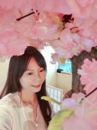 櫻花祭典🌸 櫻花樹下嘆日式料理
