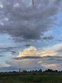 หนองสมอ(ทาม)