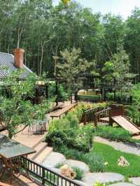 คาเฟ่กระบี่ กลางสวนยาง INTO THE FOREST 