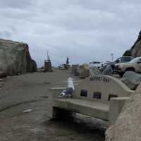 Morro Rock Beach แคลิฟอร์เนีย, อเมริกา