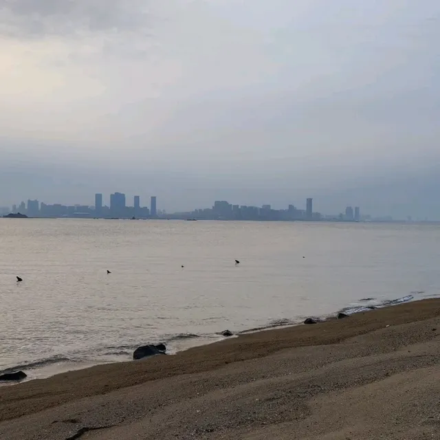 金門大橋，2022年下半年通車了