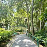 🌈隱世後花園-中葵涌公園