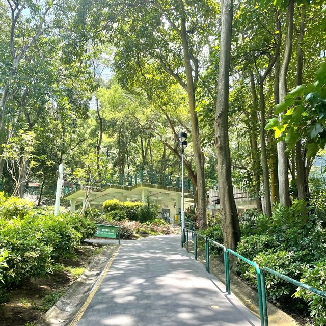 🌈隱世後花園-中葵涌公園