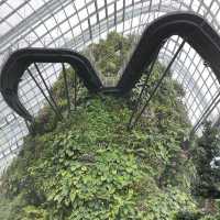 [Explore Singapore] Gardens of Your Dreams