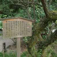愛知旅行！観光名所「熱田神宮」