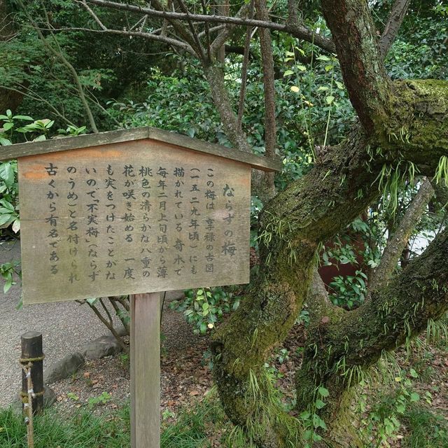 愛知旅行！観光名所「熱田神宮」