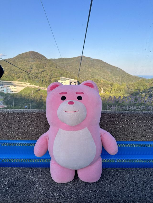 귀여운 벨리곰과 같이 케이블카를 탈 수 있는 곳🧸