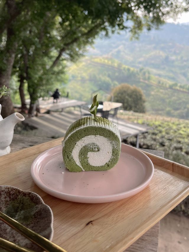 ไร่ชาวังพุดตาล บรรยากาศดีแบบ100% ⛩️🌱🍃
